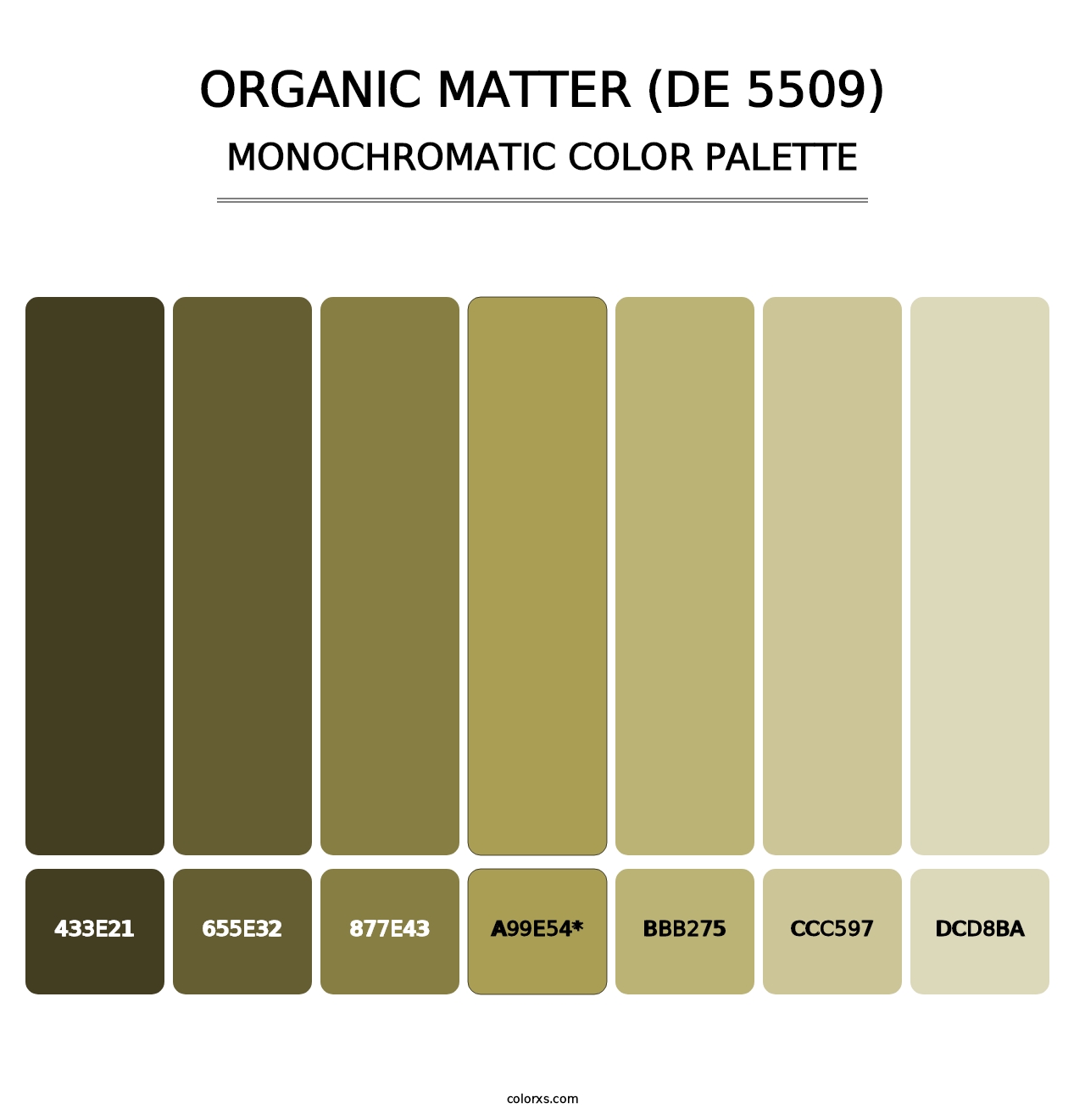 Organic Matter (DE 5509) - Monochromatic Color Palette