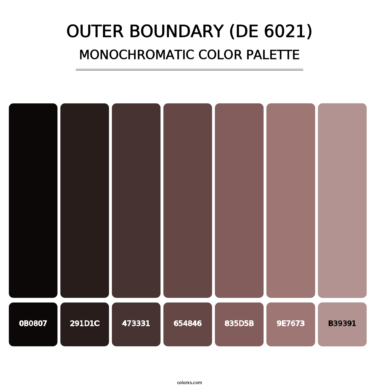 Outer Boundary (DE 6021) - Monochromatic Color Palette