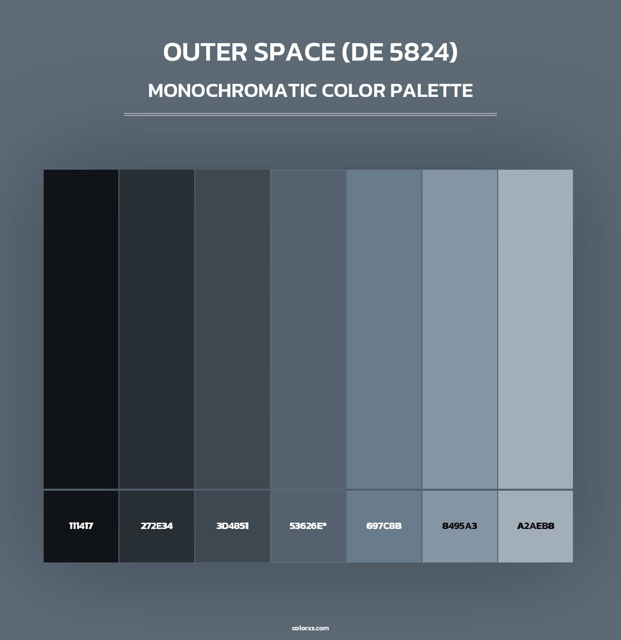 Outer Space (DE 5824) - Monochromatic Color Palette