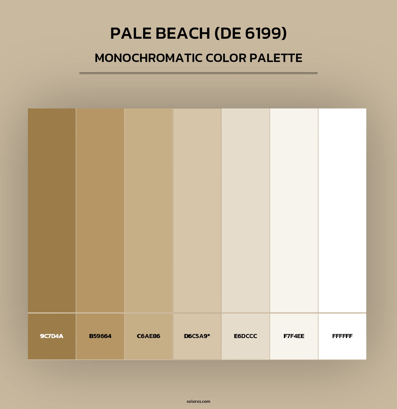 Pale Beach (DE 6199) - Monochromatic Color Palette