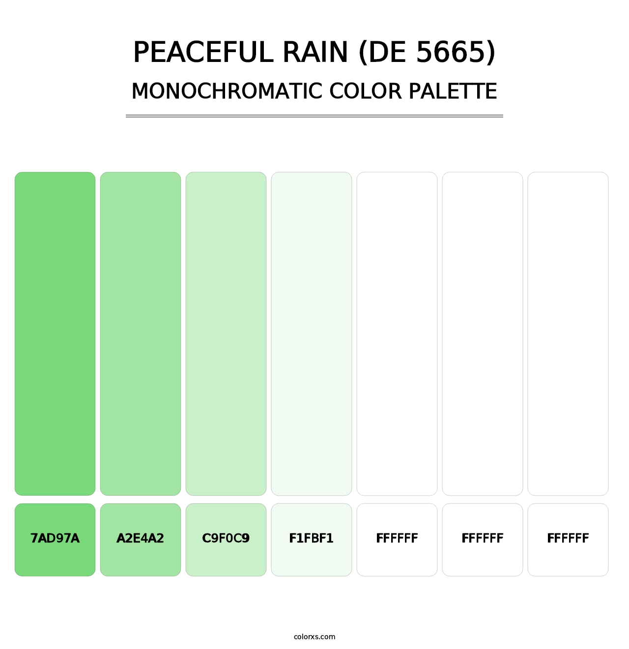 Peaceful Rain (DE 5665) - Monochromatic Color Palette