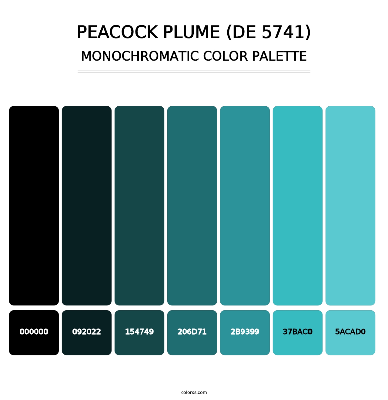 Peacock Plume (DE 5741) - Monochromatic Color Palette