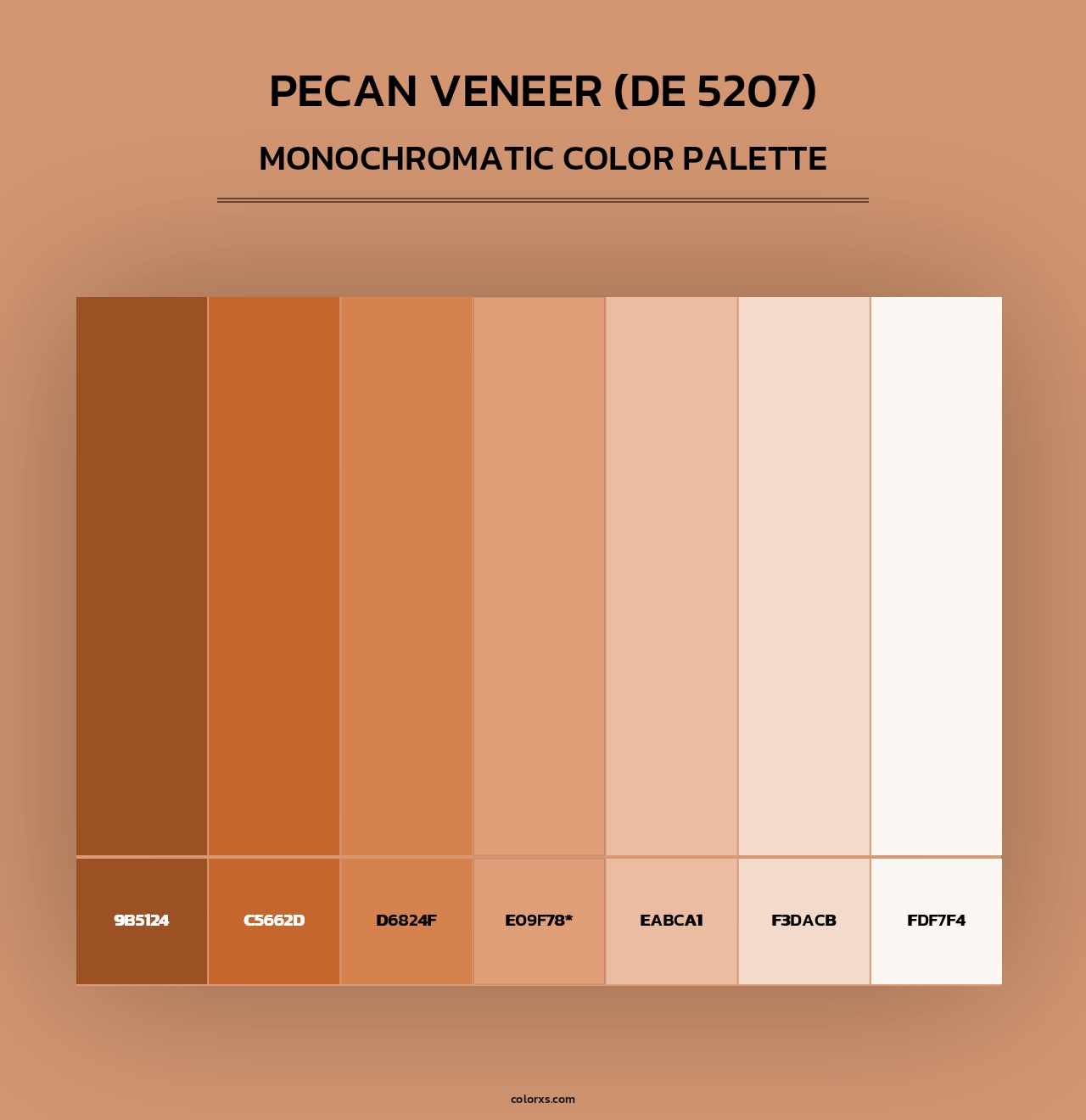 Pecan Veneer (DE 5207) - Monochromatic Color Palette