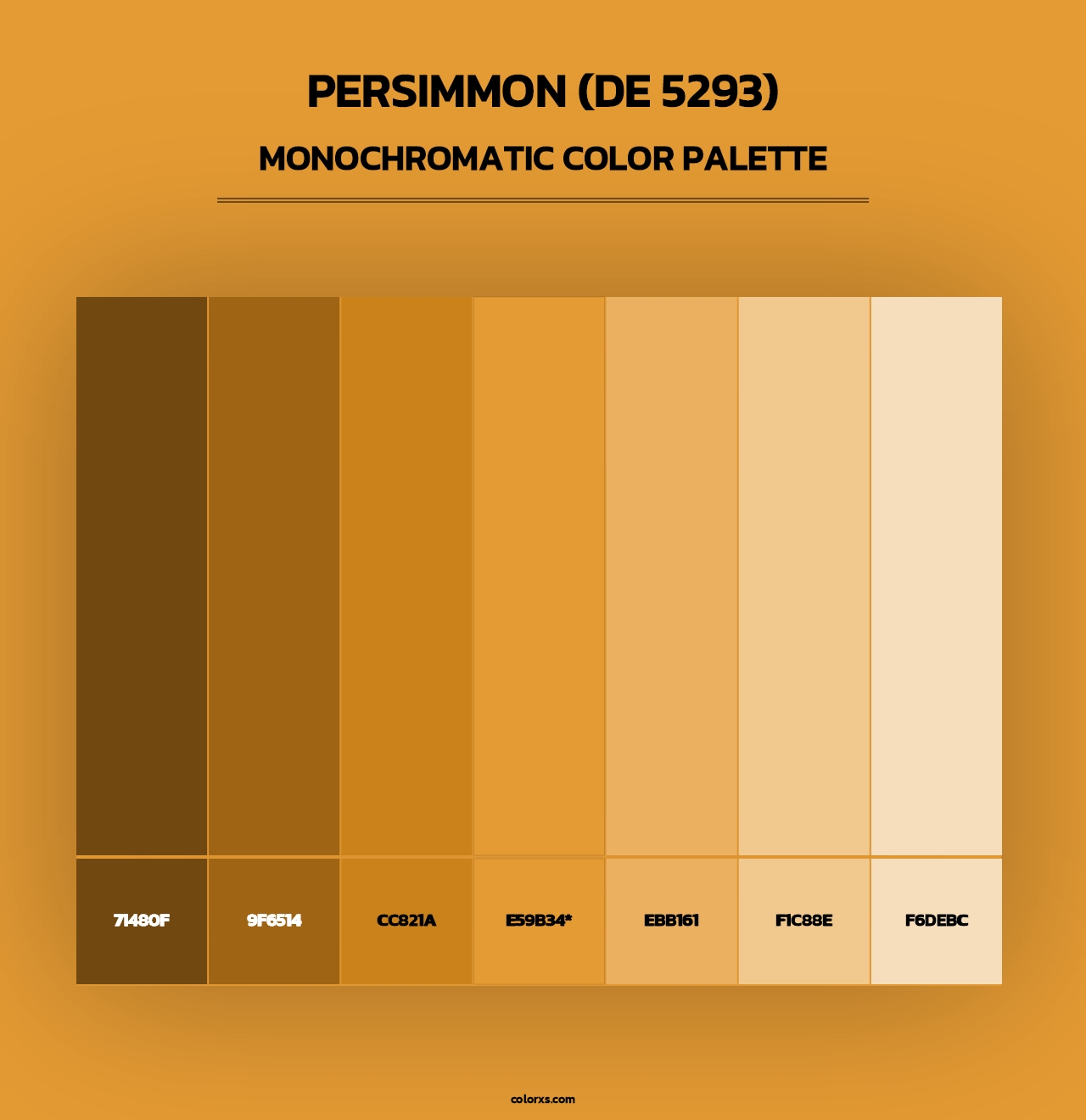 Persimmon (DE 5293) - Monochromatic Color Palette