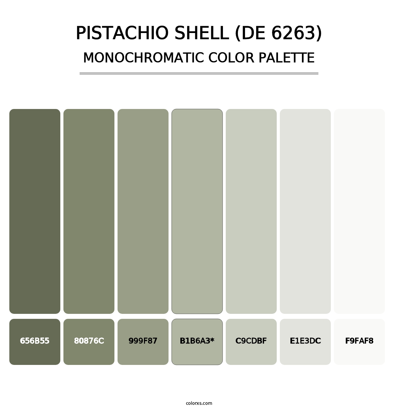 Pistachio Shell (DE 6263) - Monochromatic Color Palette