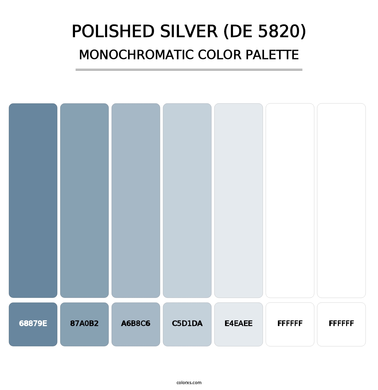 Polished Silver (DE 5820) - Monochromatic Color Palette