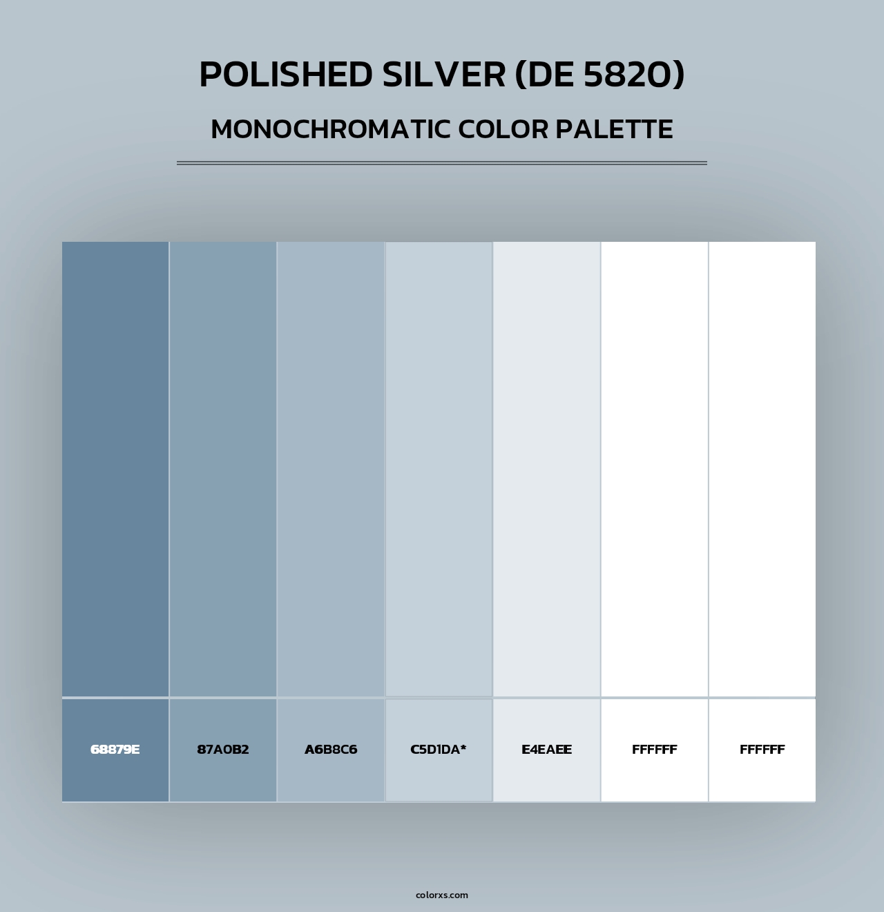 Polished Silver (DE 5820) - Monochromatic Color Palette