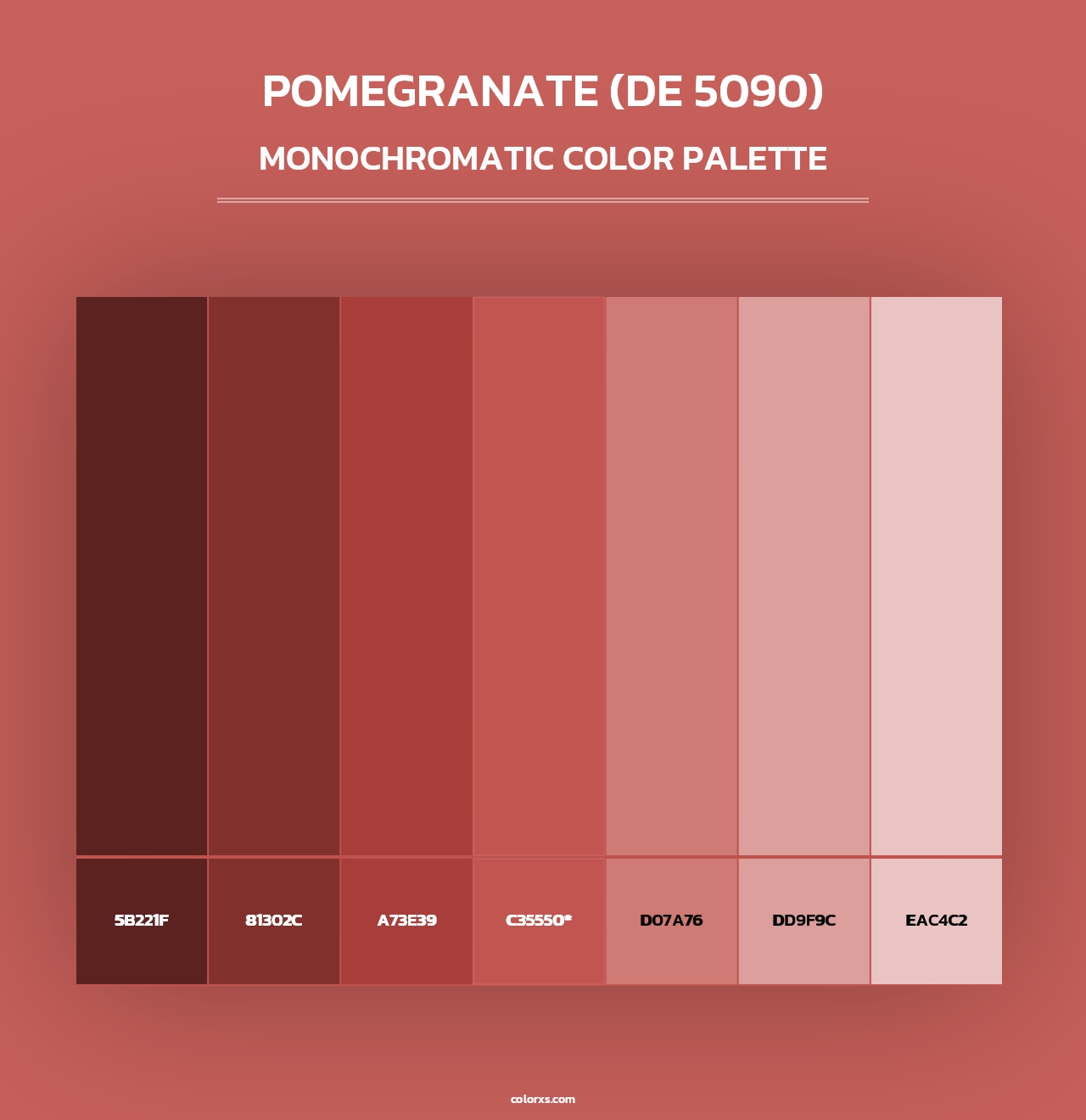 Pomegranate (DE 5090) - Monochromatic Color Palette