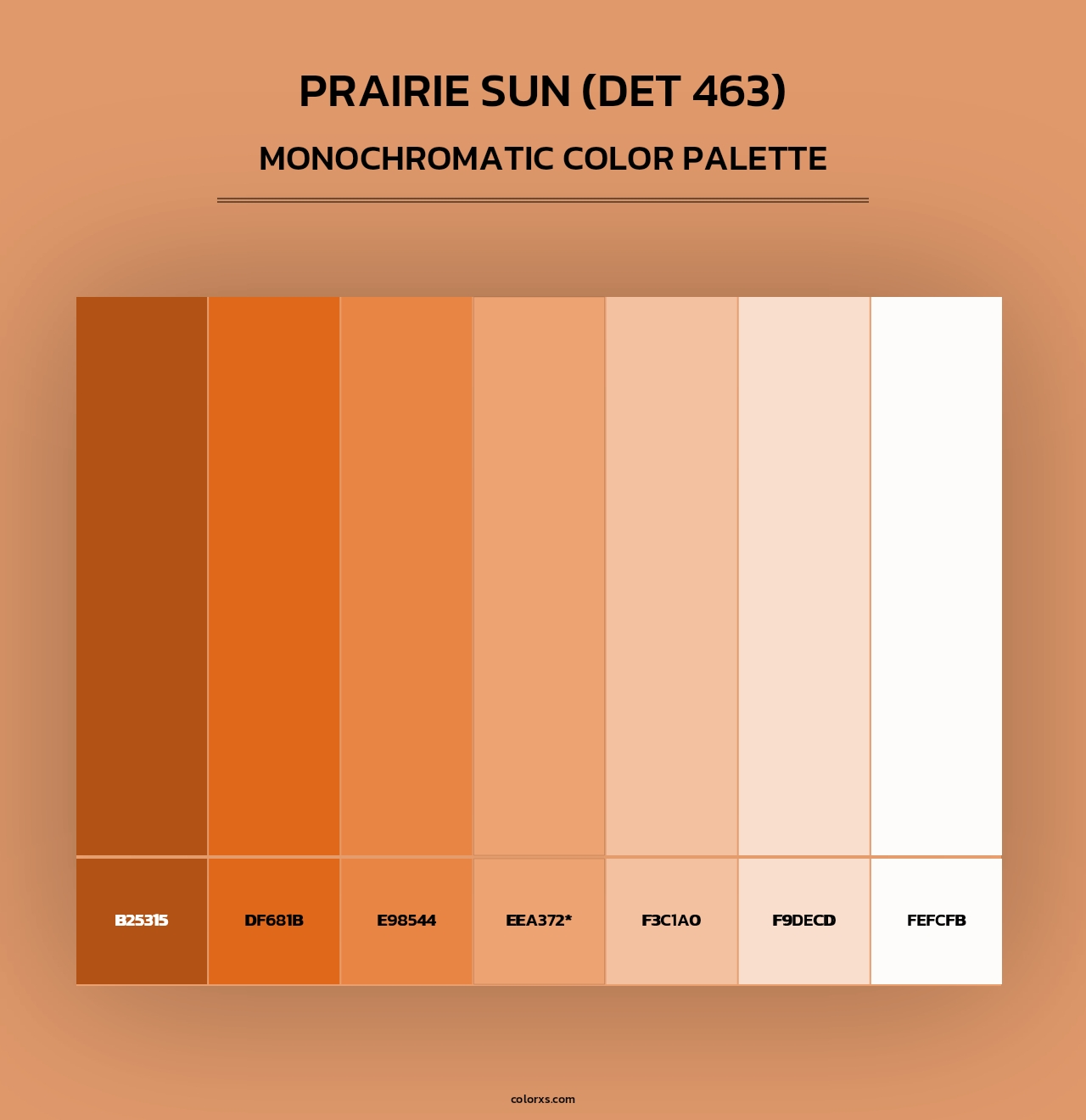 Prairie Sun (DET 463) - Monochromatic Color Palette