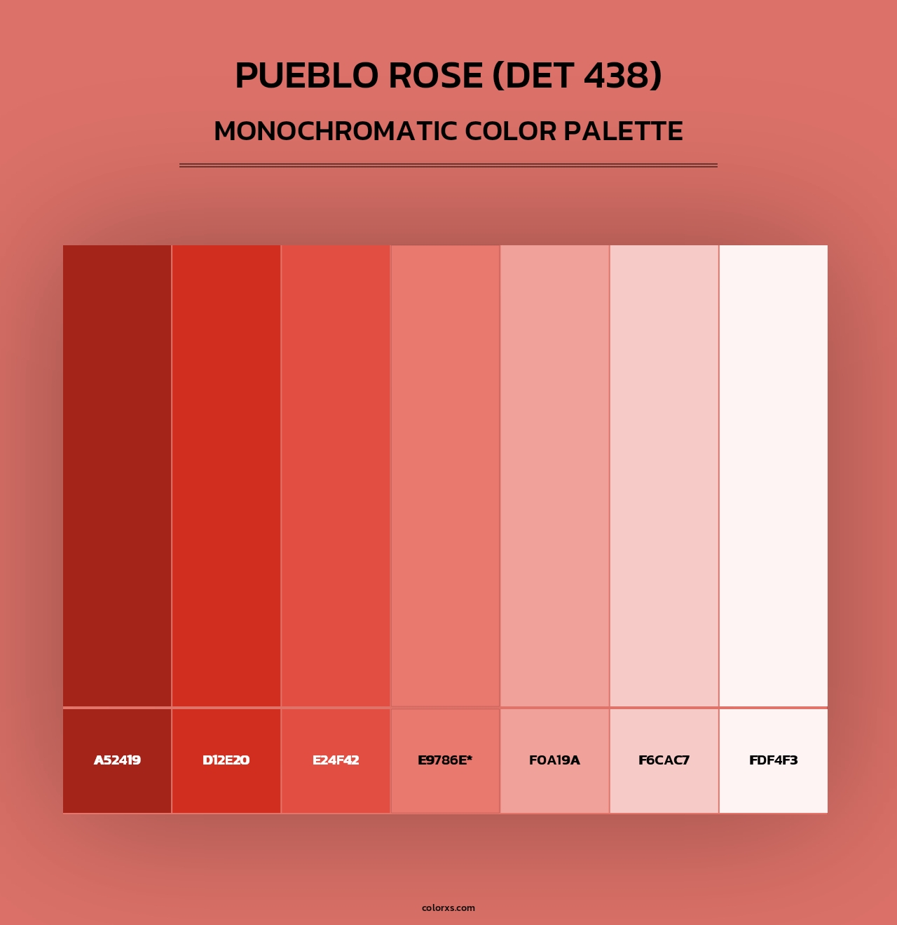 Pueblo Rose (DET 438) - Monochromatic Color Palette