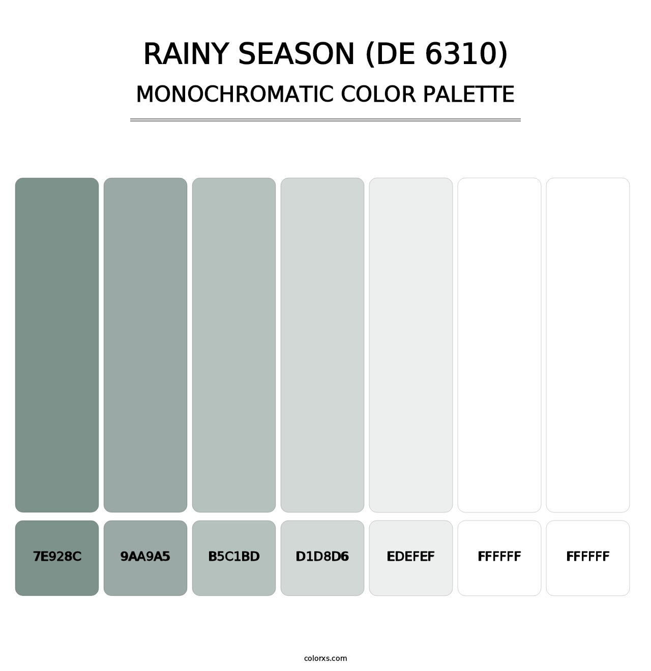 Rainy Season (DE 6310) - Monochromatic Color Palette