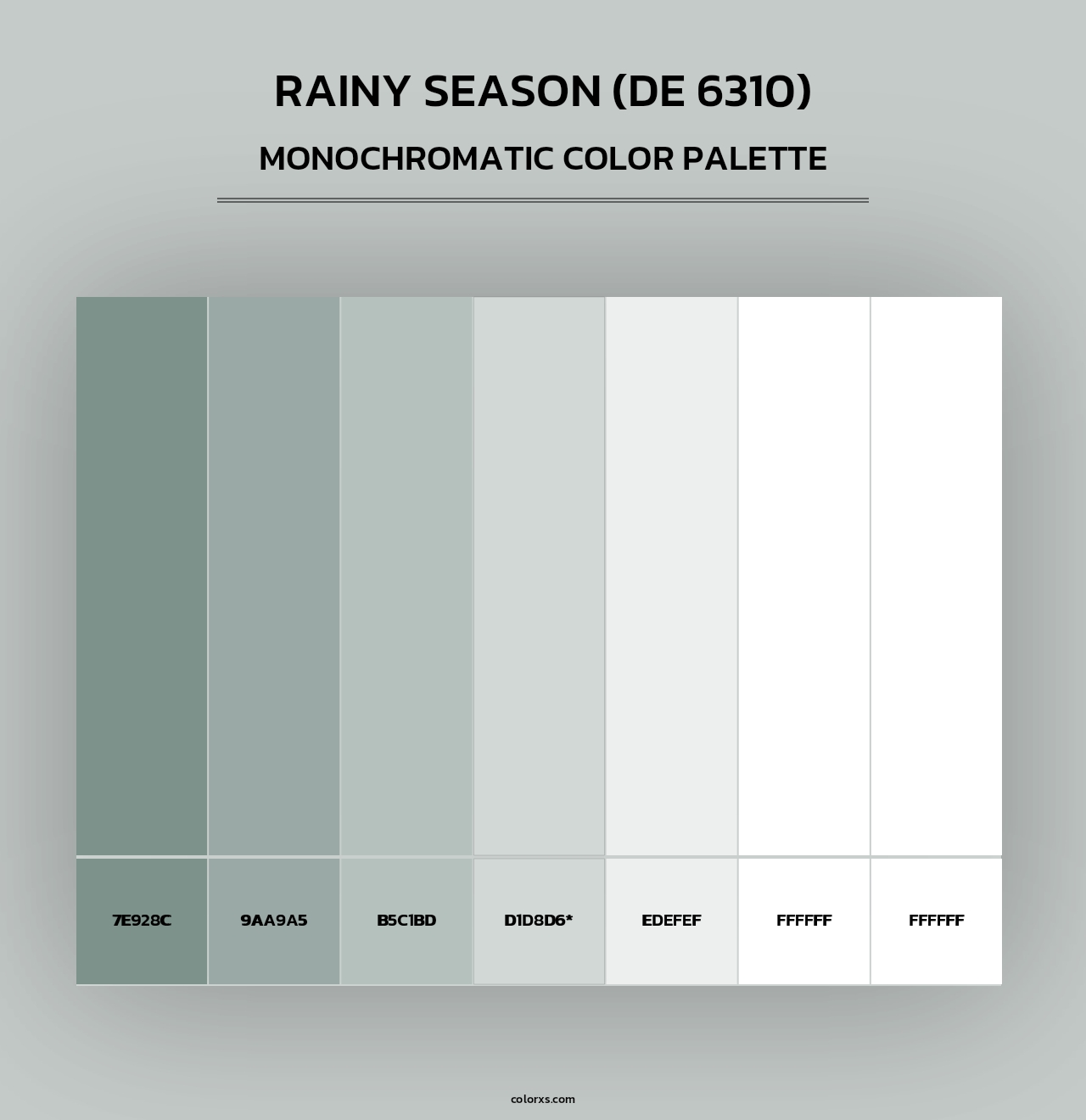 Rainy Season (DE 6310) - Monochromatic Color Palette
