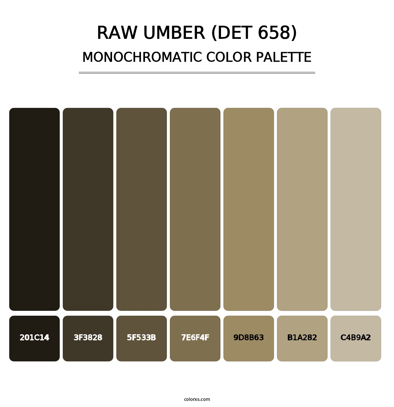Raw Umber (DET 658) - Monochromatic Color Palette