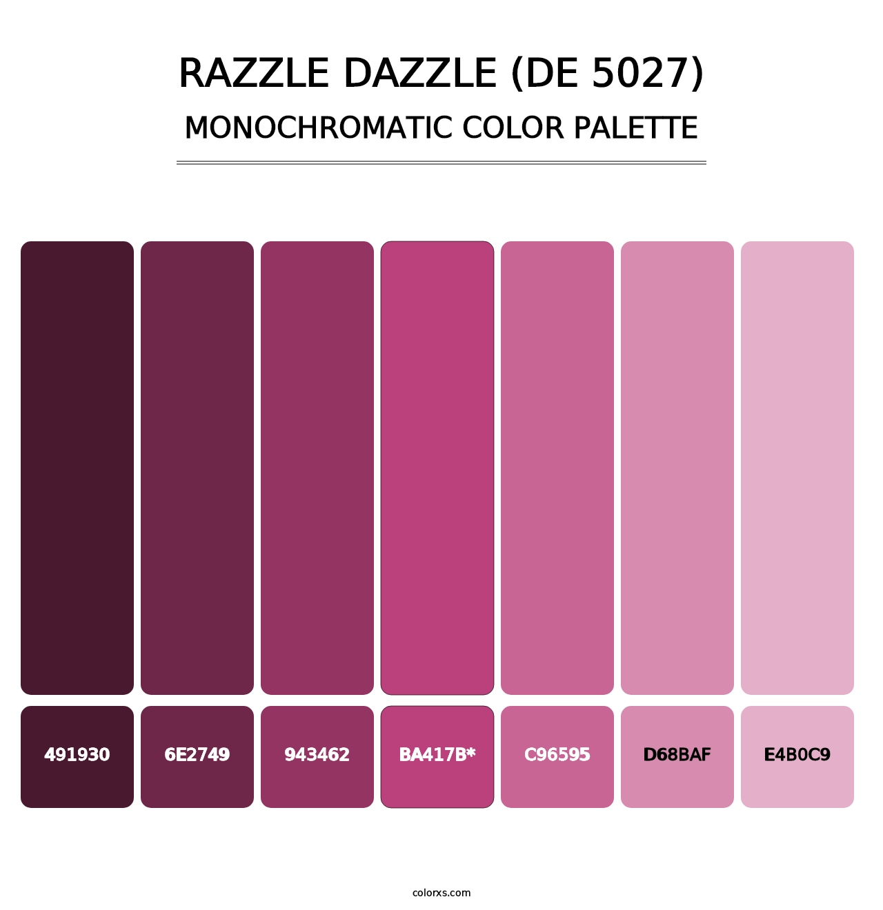 Razzle Dazzle (DE 5027) - Monochromatic Color Palette