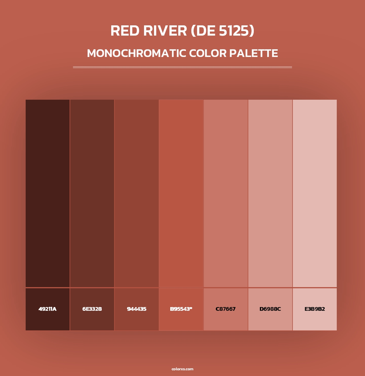 Red River (DE 5125) - Monochromatic Color Palette