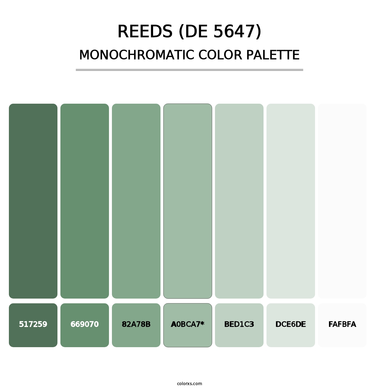 Reeds (DE 5647) - Monochromatic Color Palette