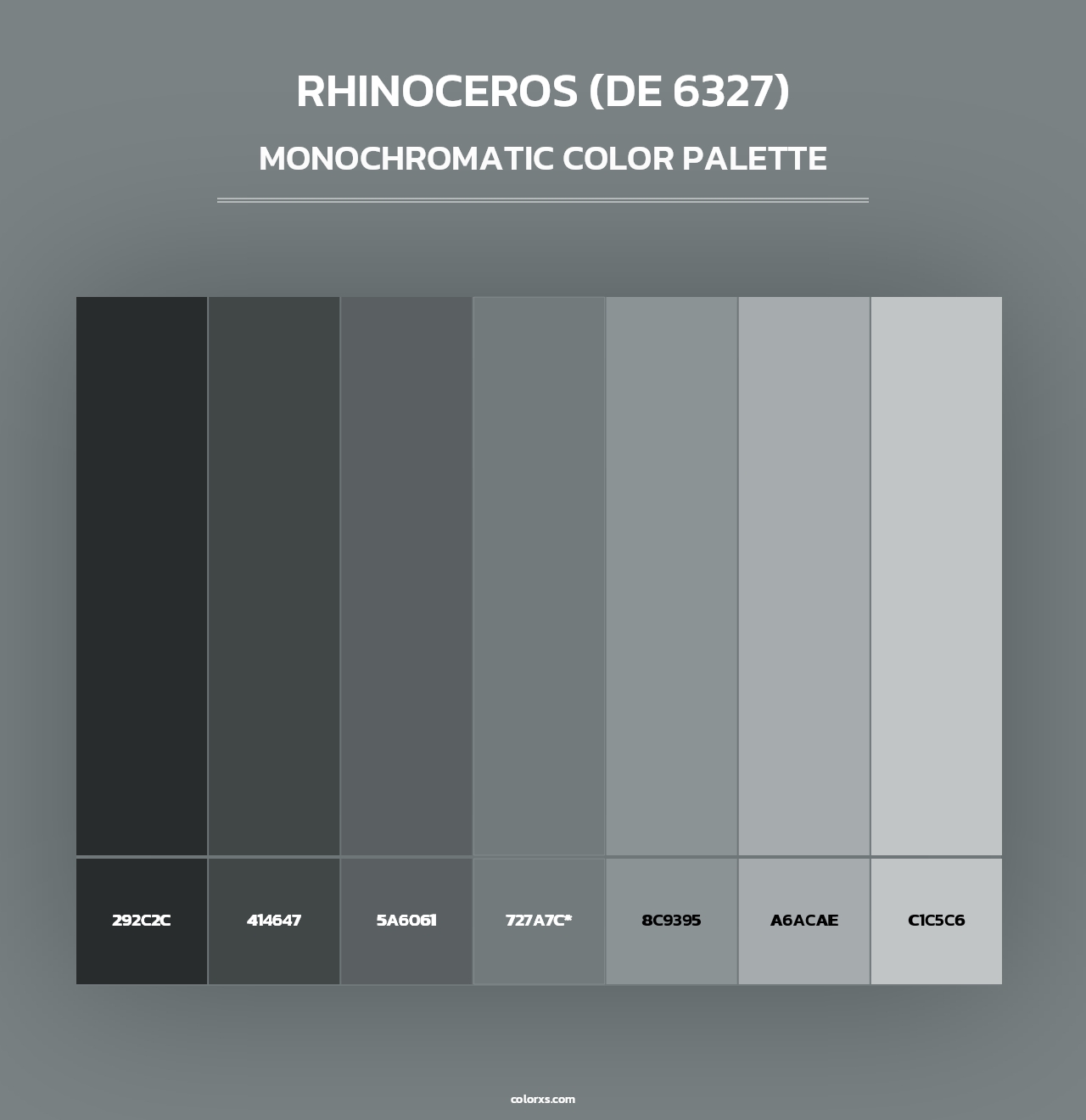 Rhinoceros (DE 6327) - Monochromatic Color Palette