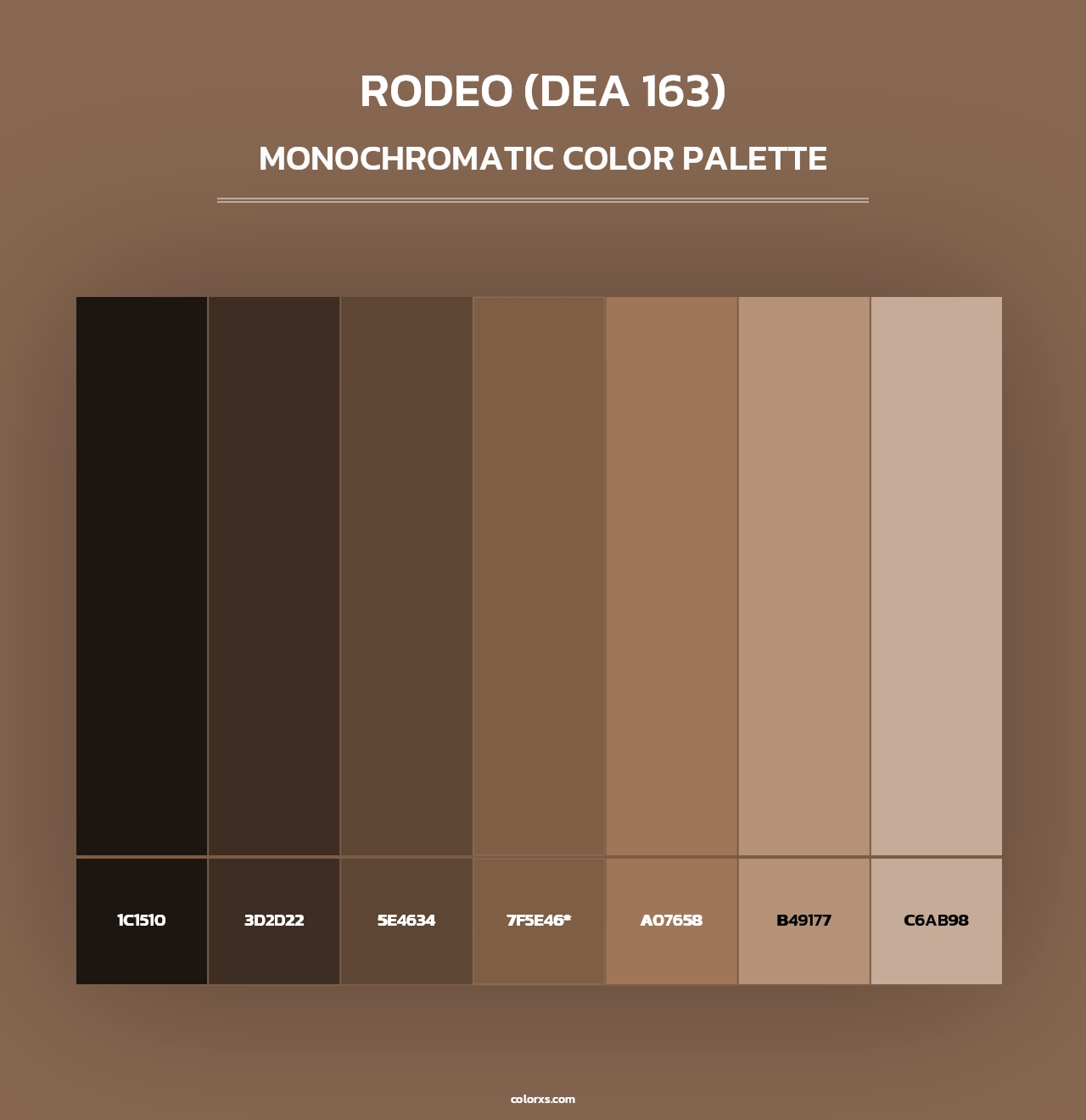 Rodeo (DEA 163) - Monochromatic Color Palette