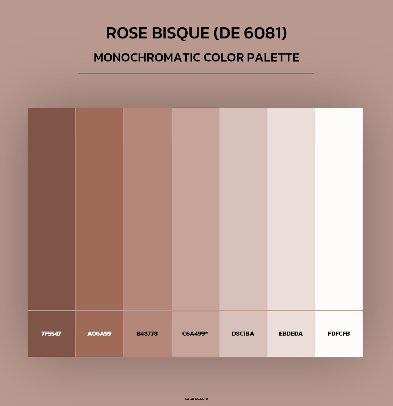 Rose Bisque (DE 6081) - Monochromatic Color Palette