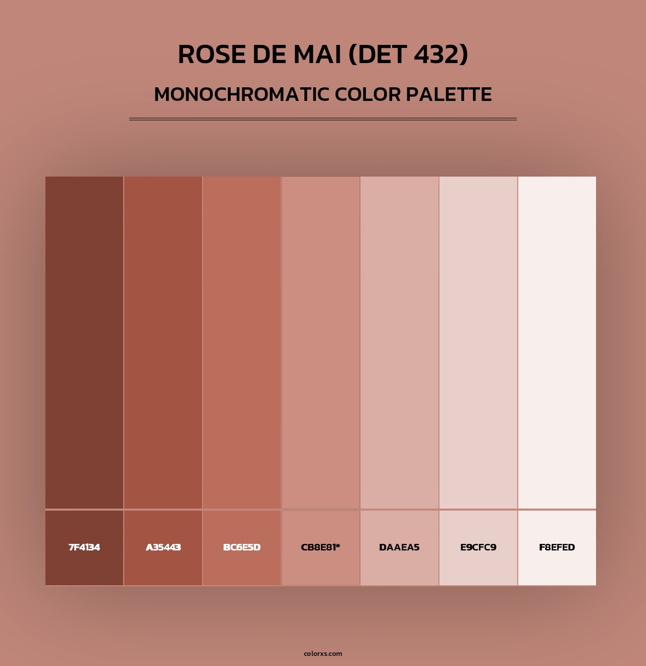 Rose de Mai (DET 432) - Monochromatic Color Palette