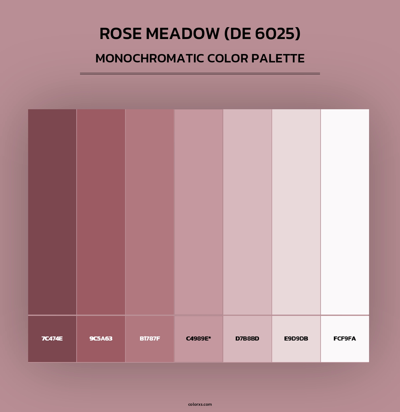 Rose Meadow (DE 6025) - Monochromatic Color Palette