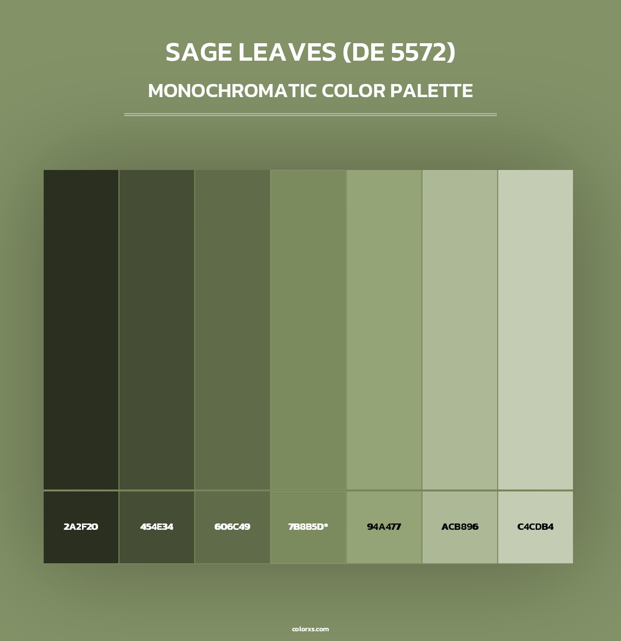 Sage Leaves (DE 5572) - Monochromatic Color Palette
