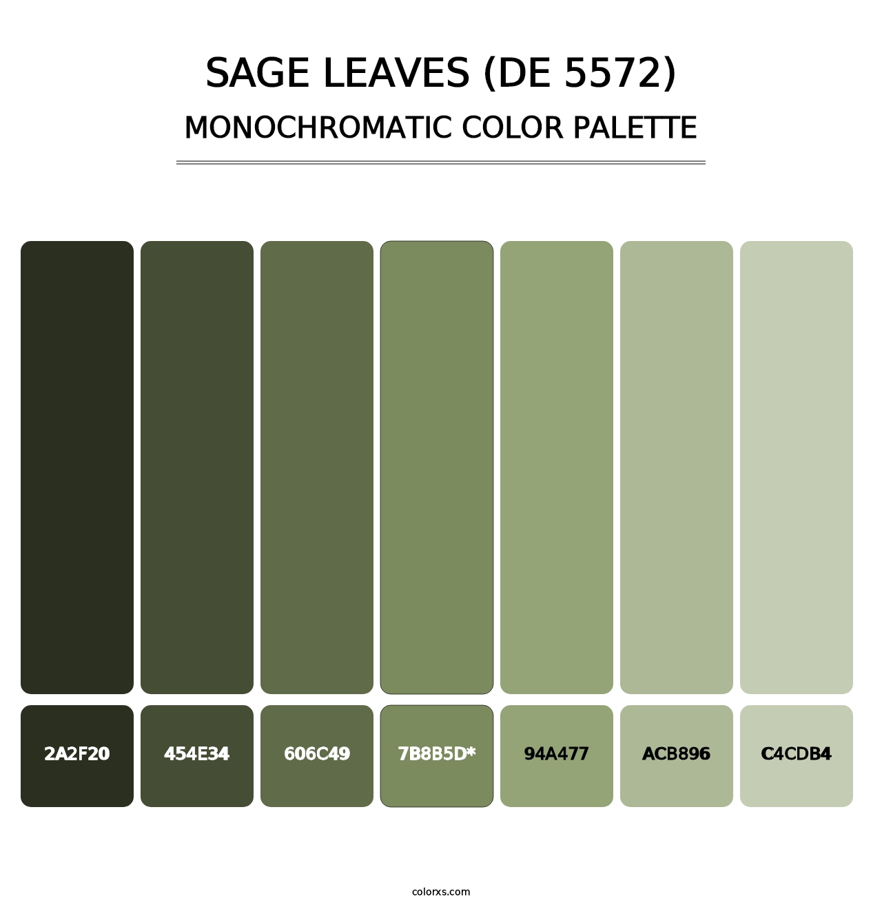 Sage Leaves (DE 5572) - Monochromatic Color Palette
