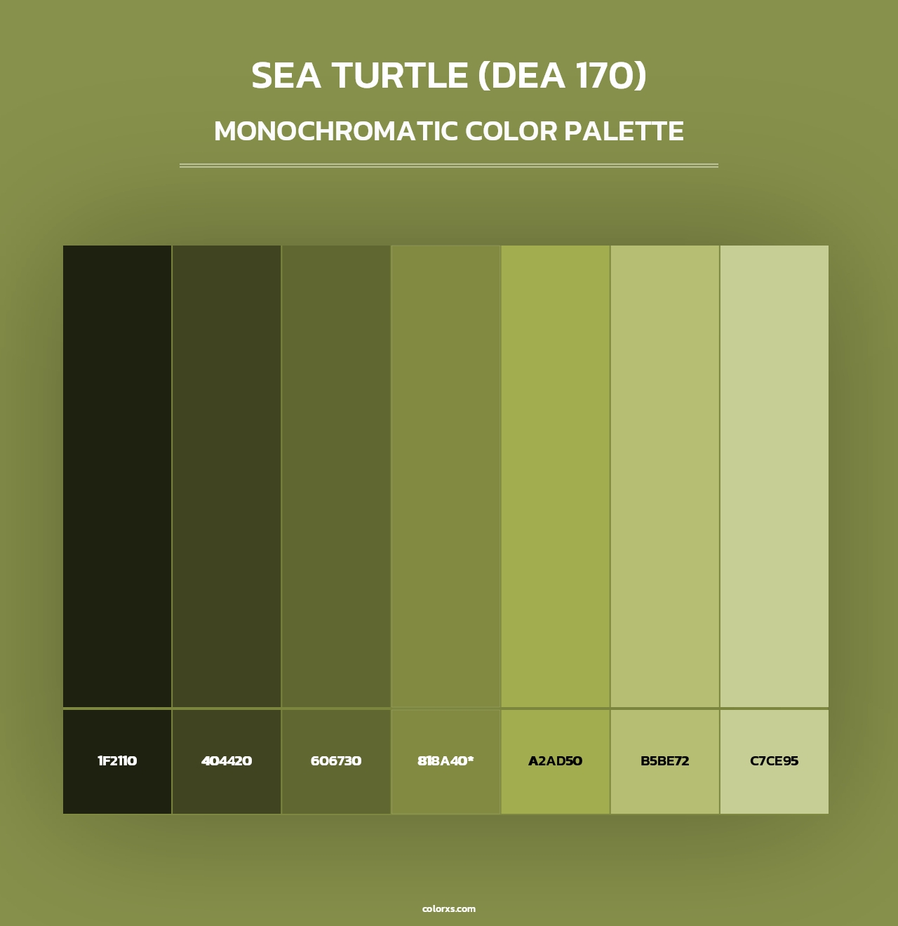 Sea Turtle (DEA 170) - Monochromatic Color Palette