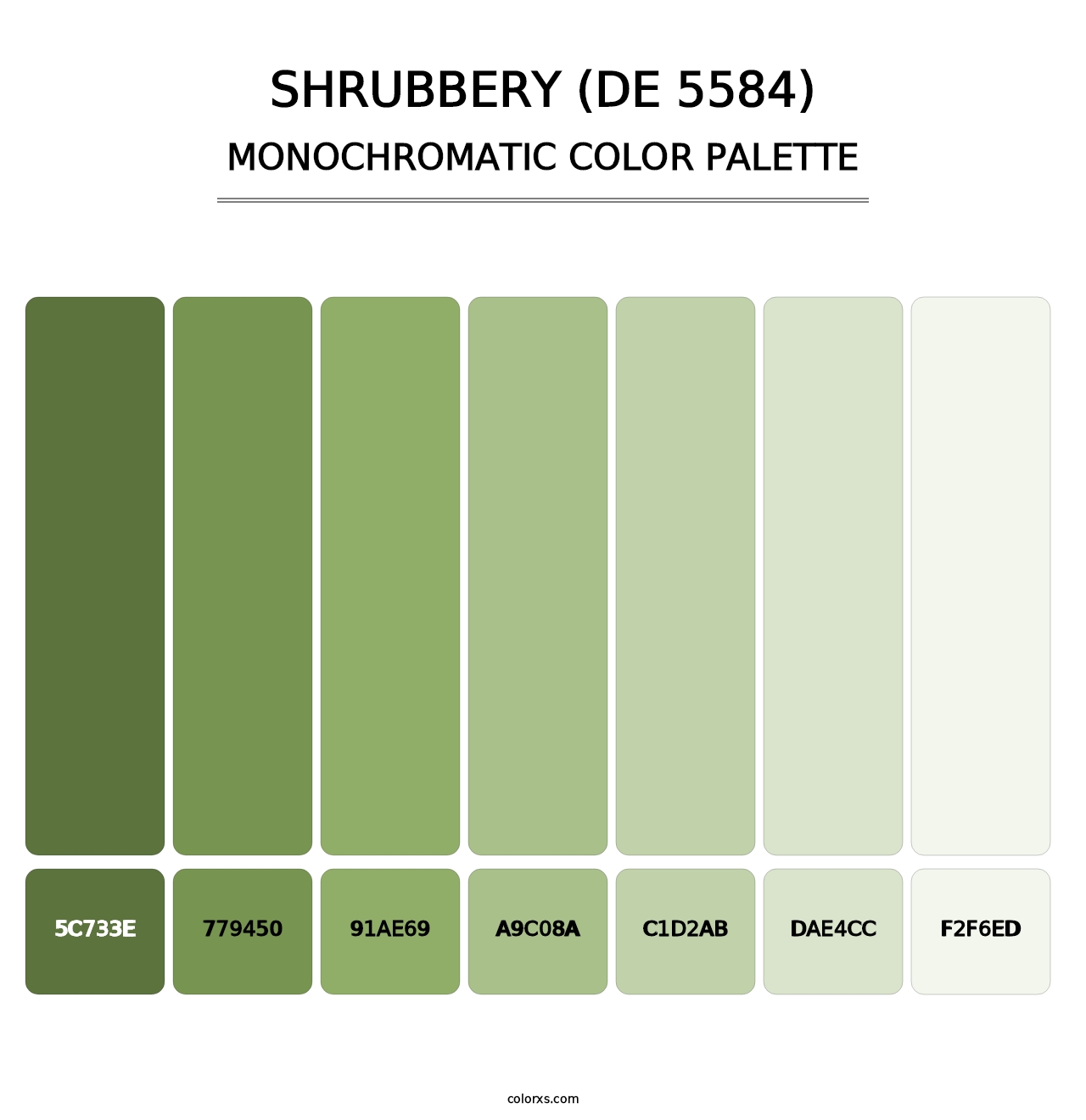 Shrubbery (DE 5584) - Monochromatic Color Palette