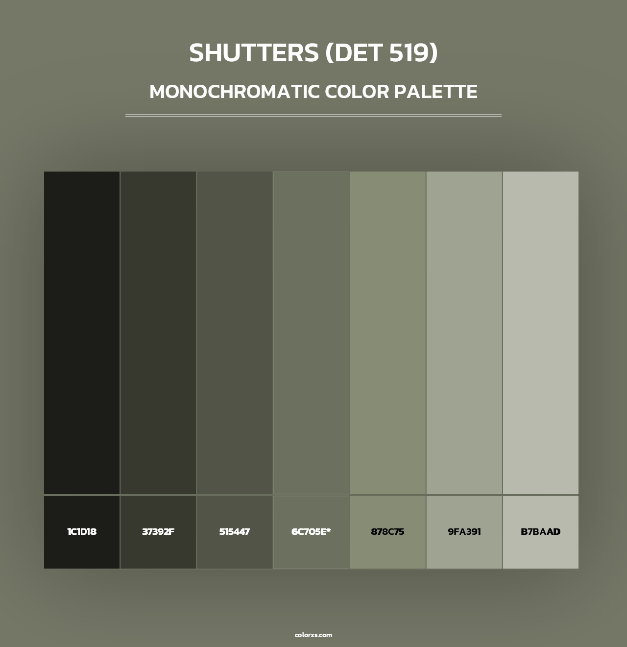 Shutters (DET 519) - Monochromatic Color Palette