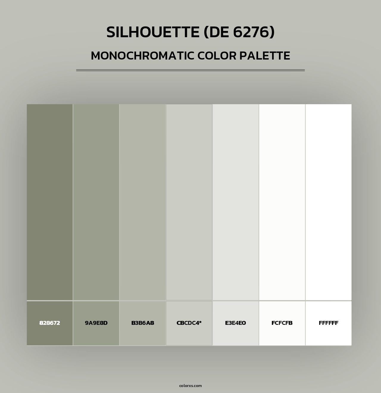 Silhouette (DE 6276) - Monochromatic Color Palette
