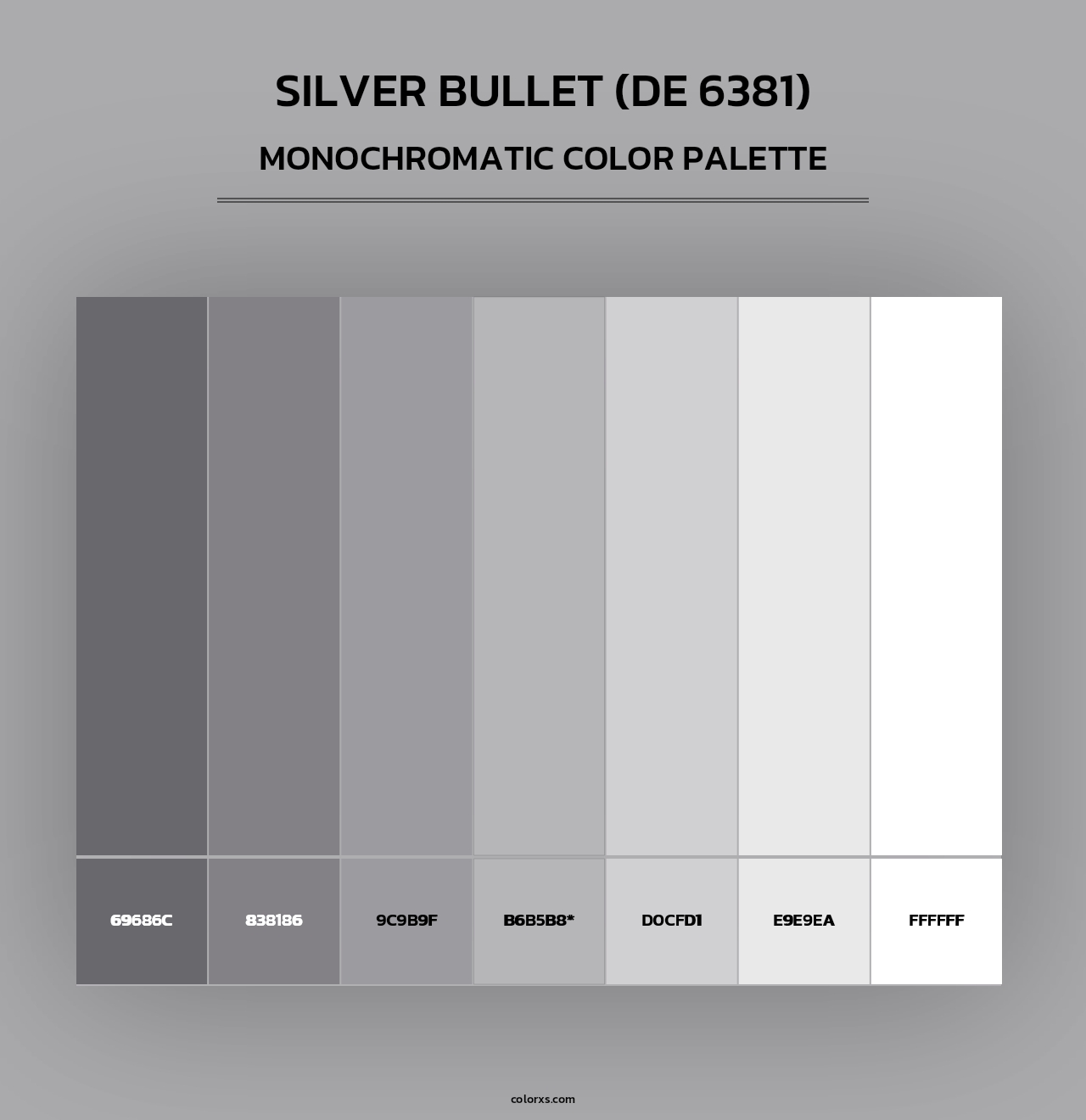 Silver Bullet (DE 6381) - Monochromatic Color Palette