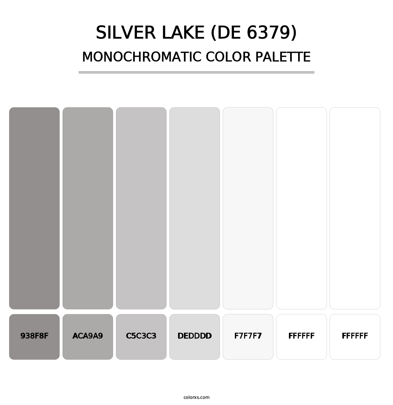 Silver Lake (DE 6379) - Monochromatic Color Palette