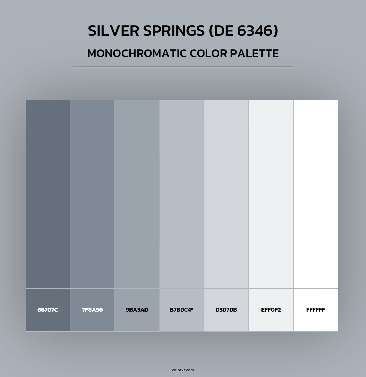 Silver Springs (DE 6346) - Monochromatic Color Palette