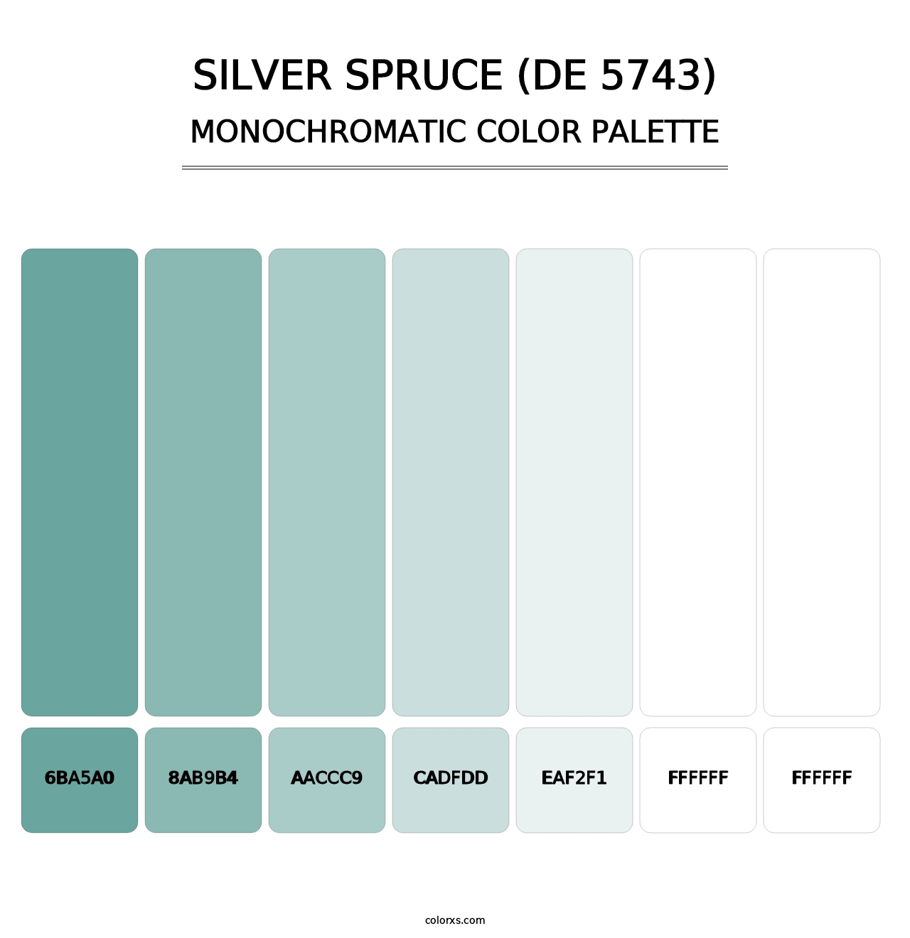 Silver Spruce (DE 5743) - Monochromatic Color Palette