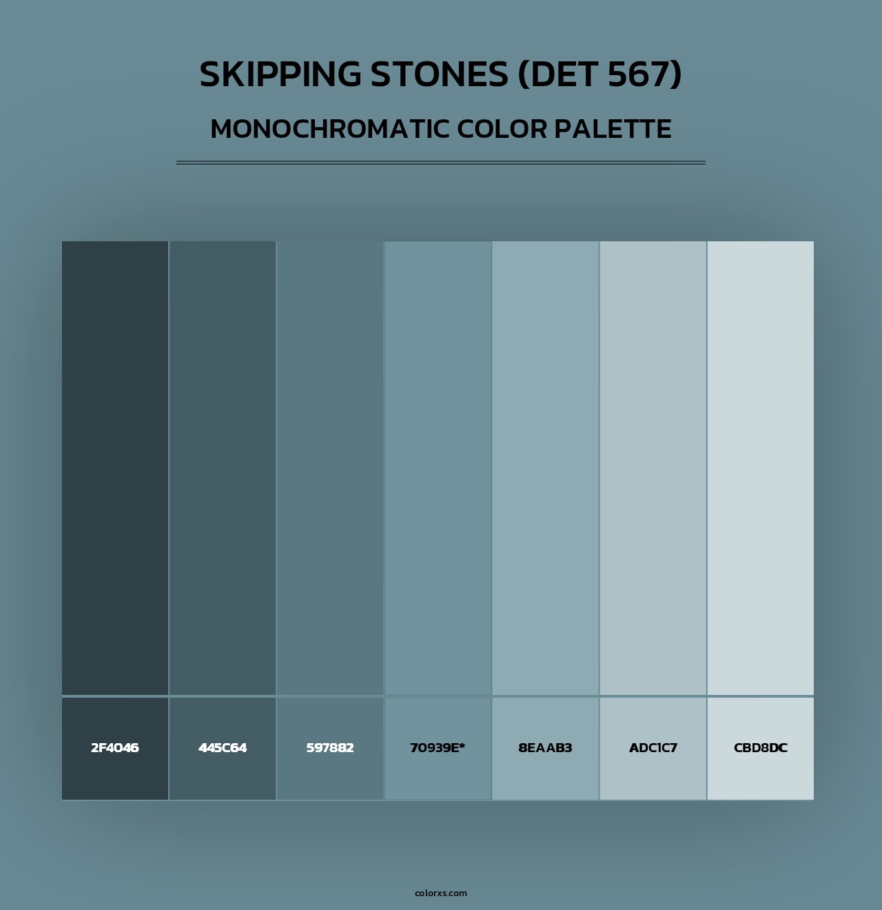 Skipping Stones (DET 567) - Monochromatic Color Palette