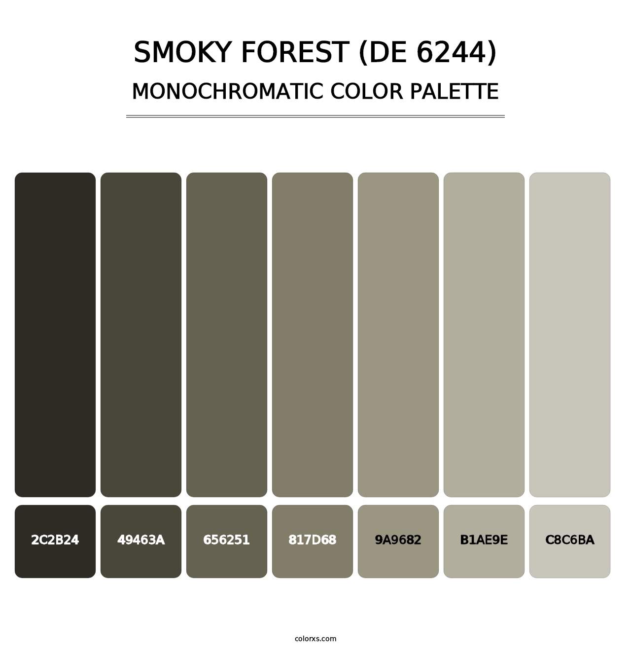 Smoky Forest (DE 6244) - Monochromatic Color Palette