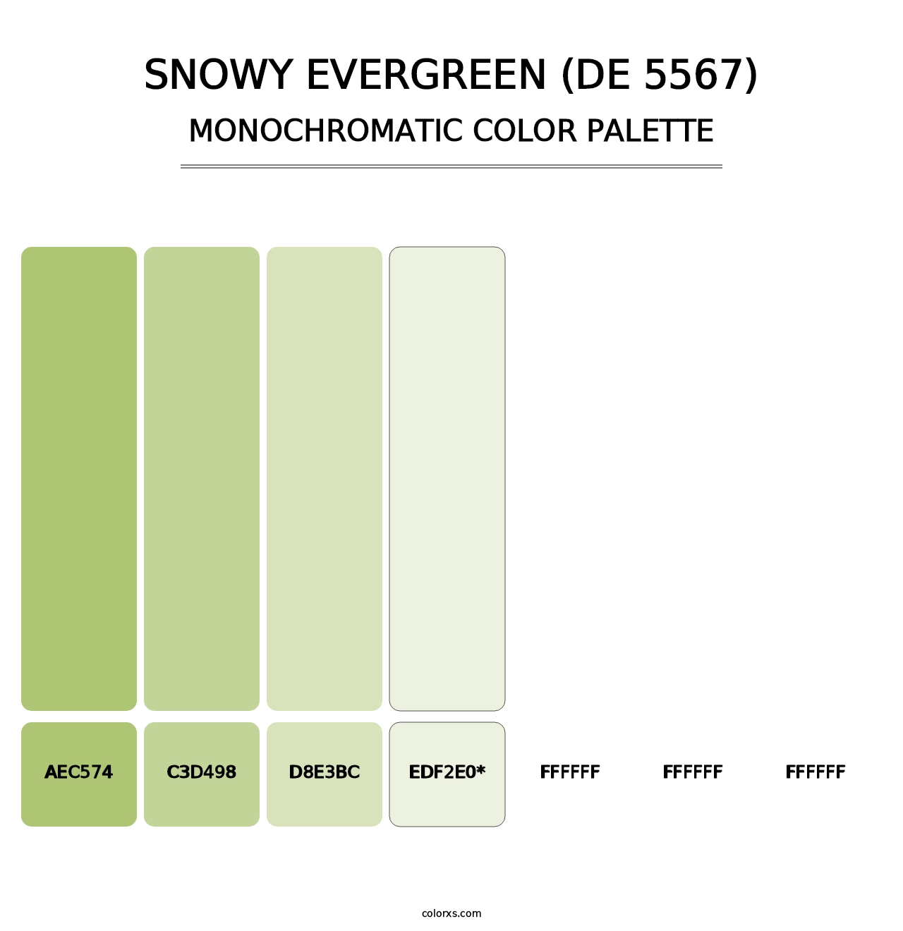 Snowy Evergreen (DE 5567) - Monochromatic Color Palette