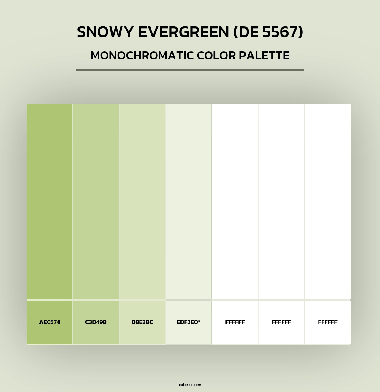 Snowy Evergreen (DE 5567) - Monochromatic Color Palette