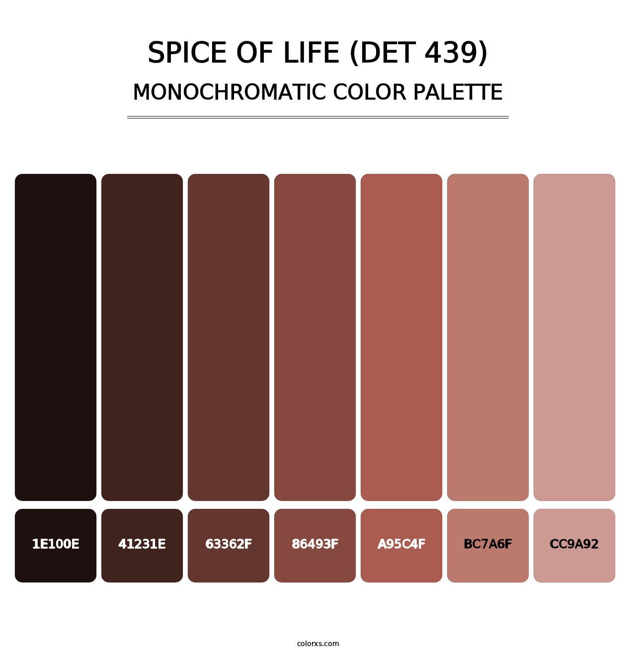 Spice of Life (DET 439) - Monochromatic Color Palette