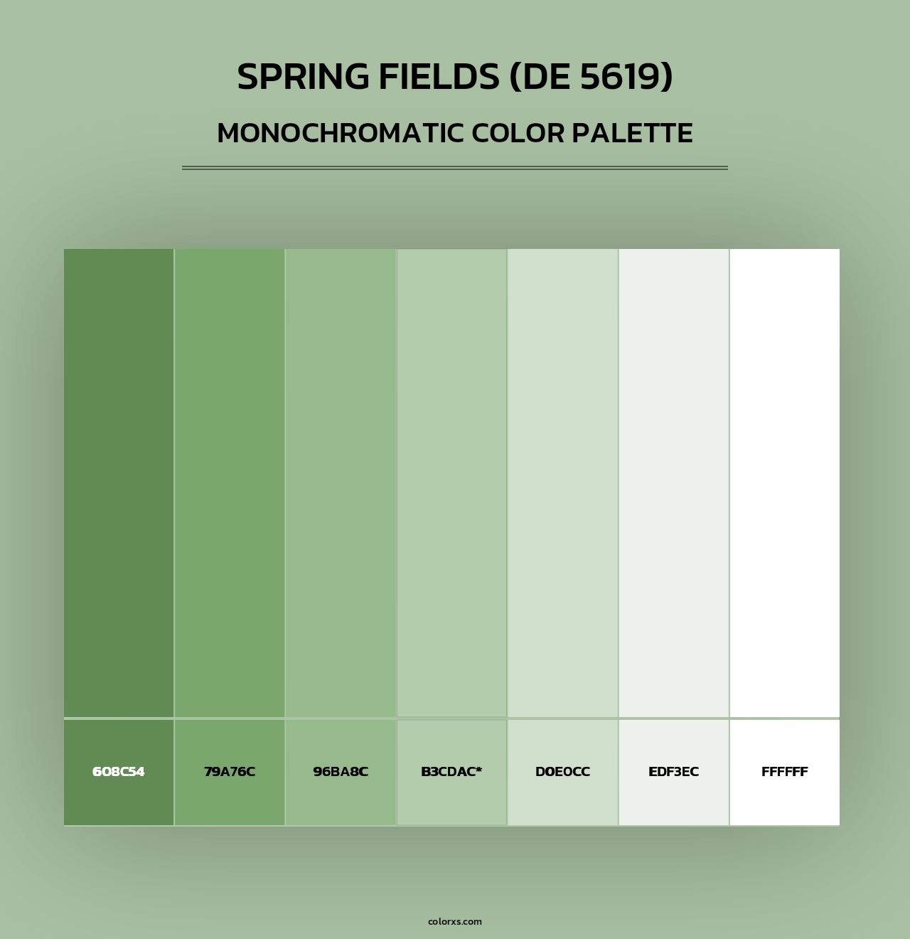 Spring Fields (DE 5619) - Monochromatic Color Palette