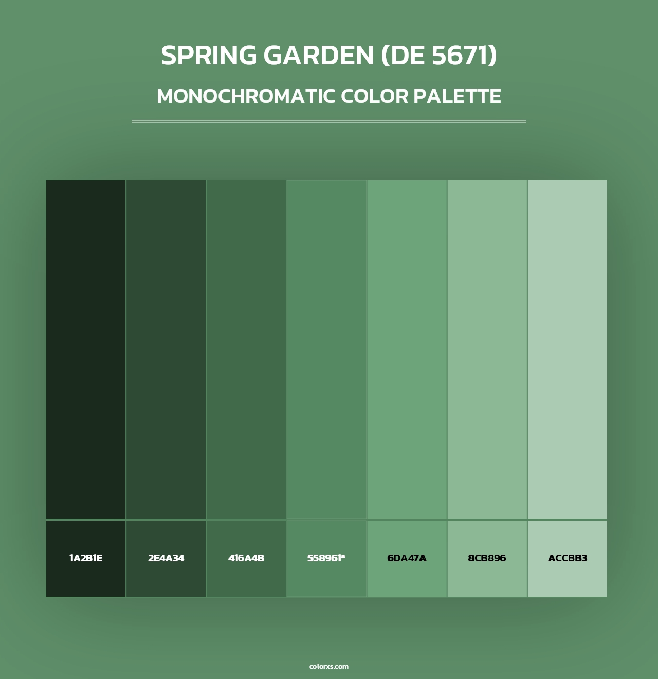 Spring Garden (DE 5671) - Monochromatic Color Palette