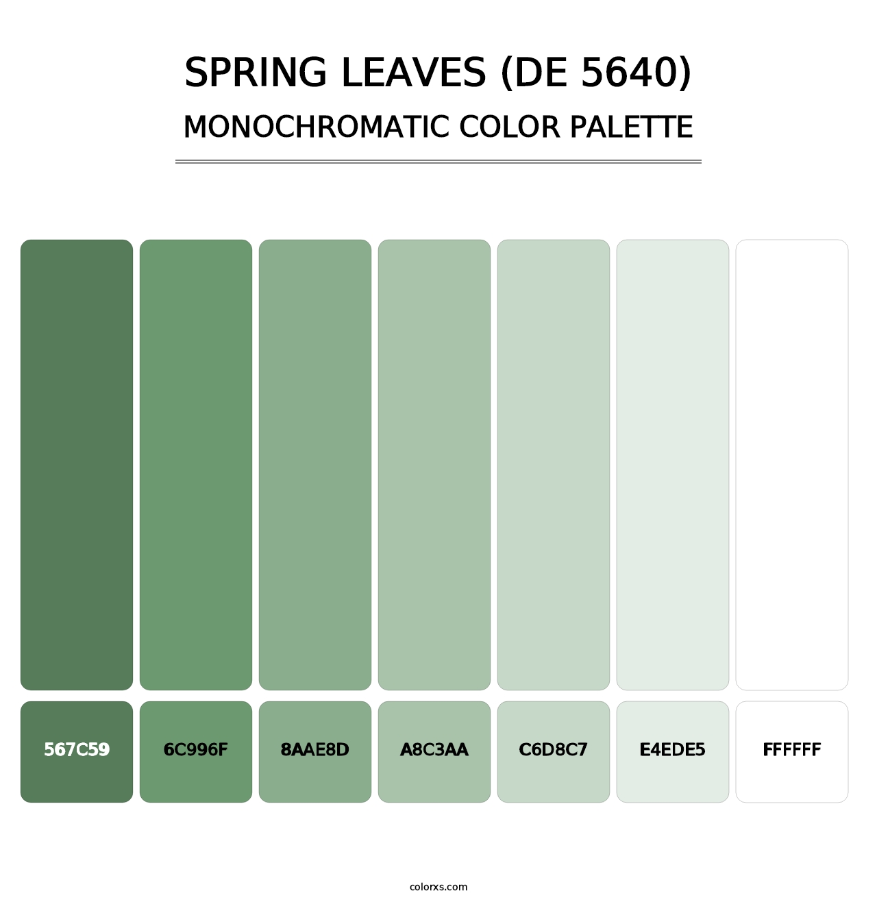 Spring Leaves (DE 5640) - Monochromatic Color Palette
