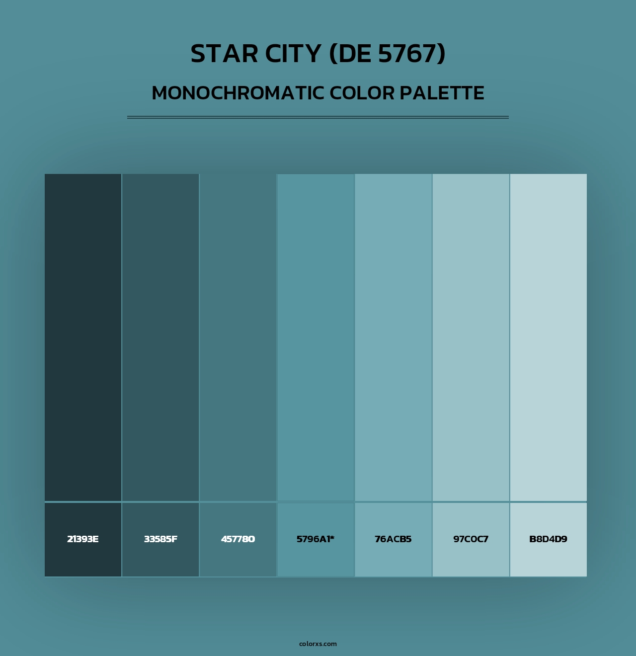 Star City (DE 5767) - Monochromatic Color Palette