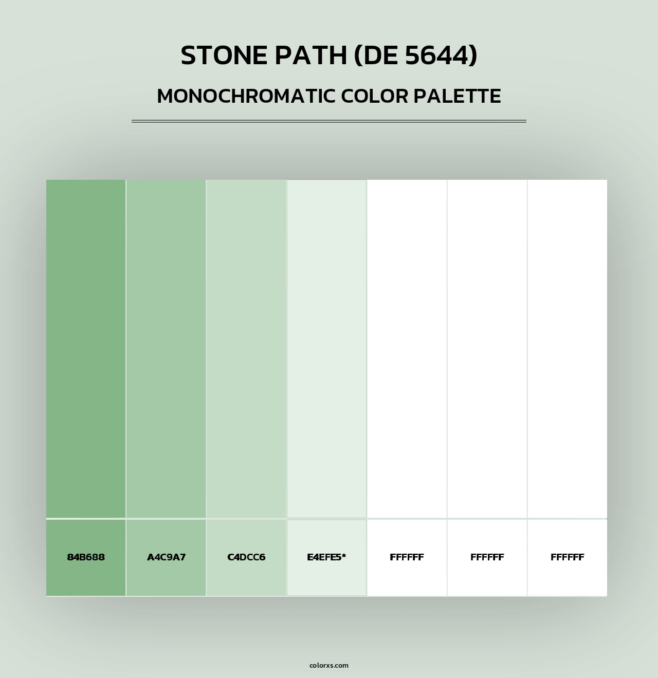 Stone Path (DE 5644) - Monochromatic Color Palette