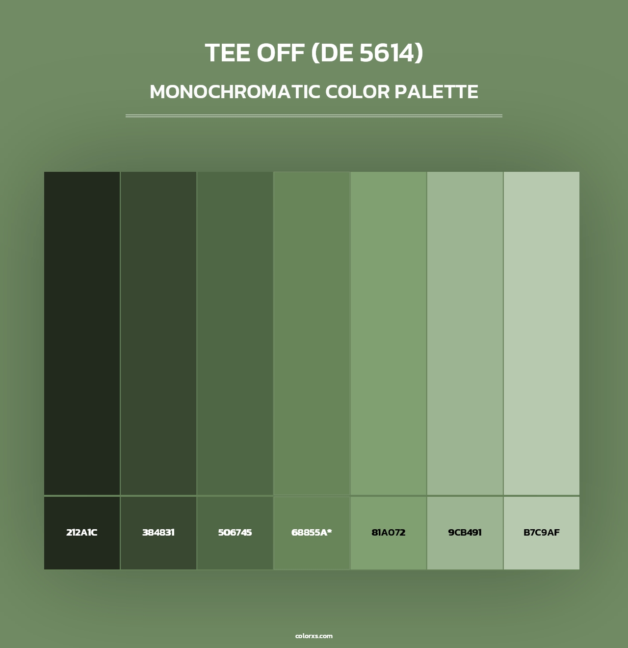 Tee Off (DE 5614) - Monochromatic Color Palette