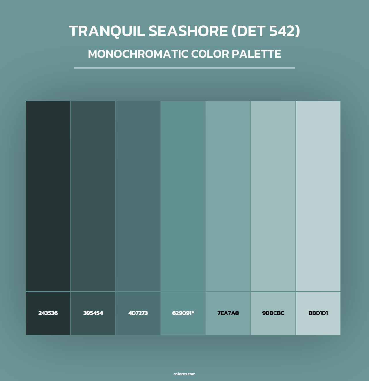 Tranquil Seashore (DET 542) - Monochromatic Color Palette