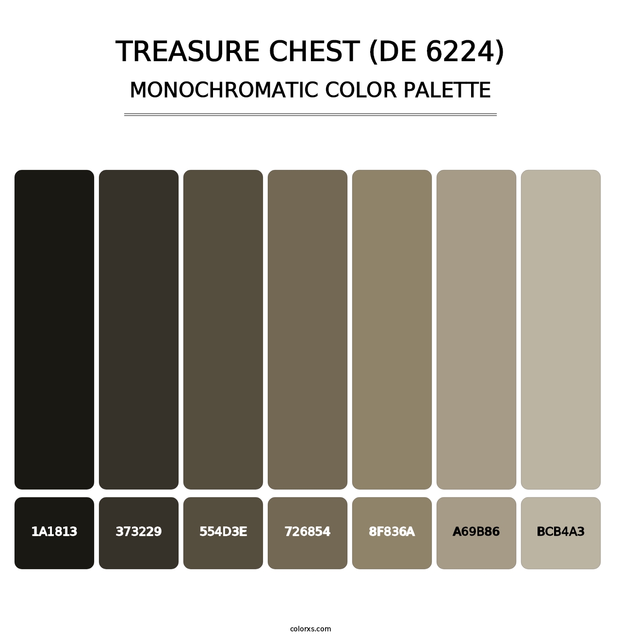 Treasure Chest (DE 6224) - Monochromatic Color Palette