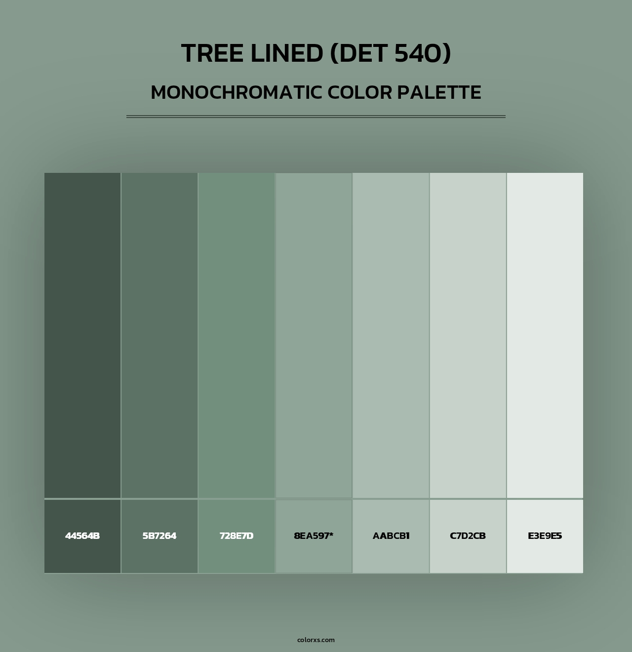 Tree Lined (DET 540) - Monochromatic Color Palette