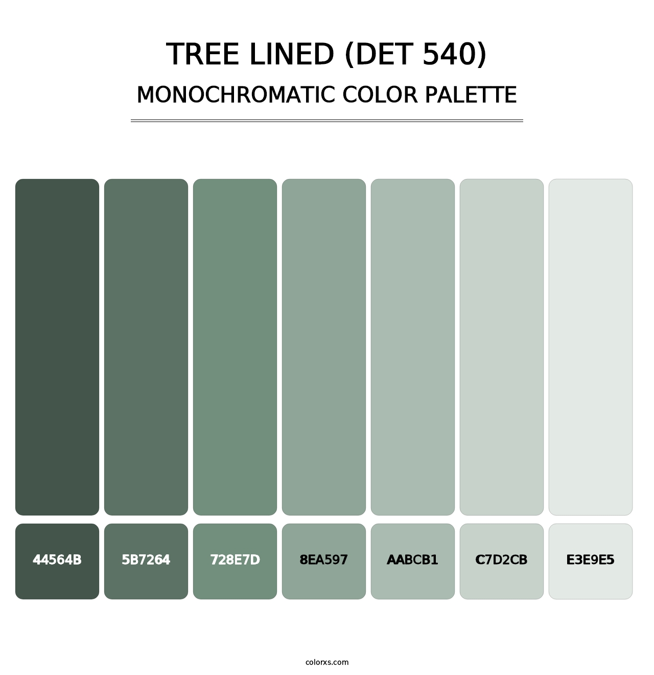 Tree Lined (DET 540) - Monochromatic Color Palette